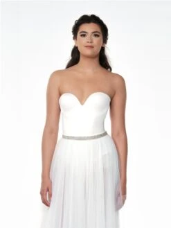 Riempje Poirier Zilver/goud 1410