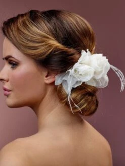 Poirier Haarcorsage BB 354