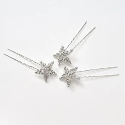 Poirier 3 Haarspelden Strass BB1275