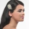 Poirier Haaraccessoire Strass BB-248 -Poirier Winkel bb 248 002 bb 2489 002 02nv1