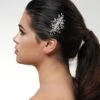 Poirier Haarsieraad Met Strass BB-280 1 Poirier Haarsieraad Met Strass BB-280 -Poirier Winkel bb 280 029 bb 280 029 01 2 1