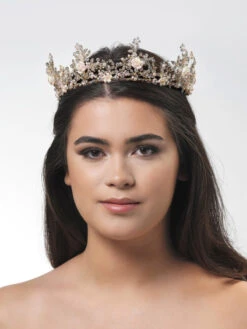 Poirier BB-670 Tiara