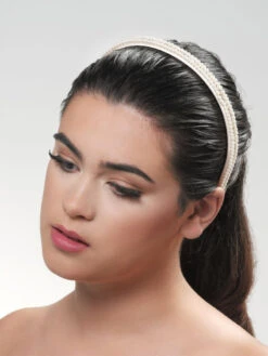 Poirier BB-729 Diadeem