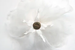 Poirier HT-201-Ivory Bloem -Poirier Winkel ht 201 002 organza magnet