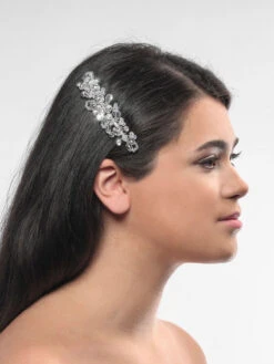 Poirier BB-1581 Haarkam