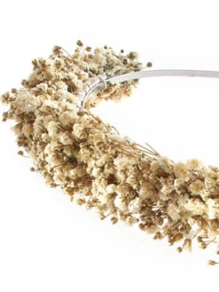 Poirier BB-622 Bloemen Diadeem -Poirier Winkel poirier bb 622 tiara 4