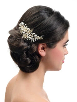 Poirier BB-432 Goud Haarkam