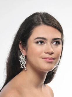 Poirier NC-1323 Oorbellen Zilver