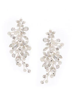 Poirier NC-1323 Oorbellen Zilver -Poirier Winkel poirier nc 1323 earrings silver 3